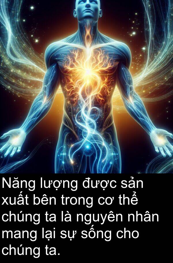 nguyên: Năng lượng được sản xuất bên trong cơ thể chúng ta là nguyên nhân mang lại sự sống cho chúng ta.