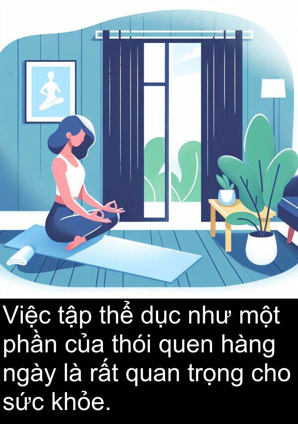 thói: Việc tập thể dục như một phần của thói quen hàng ngày là rất quan trọng cho sức khỏe.