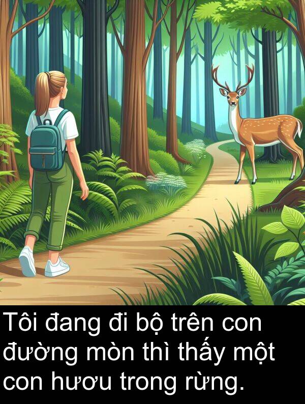 rừng: Tôi đang đi bộ trên con đường mòn thì thấy một con hươu trong rừng.