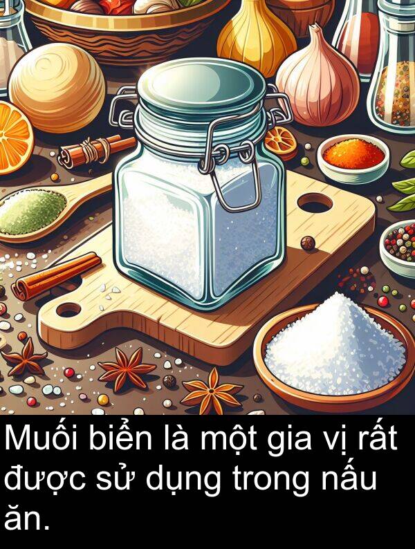 biển: Muối biển là một gia vị rất được sử dụng trong nấu ăn.