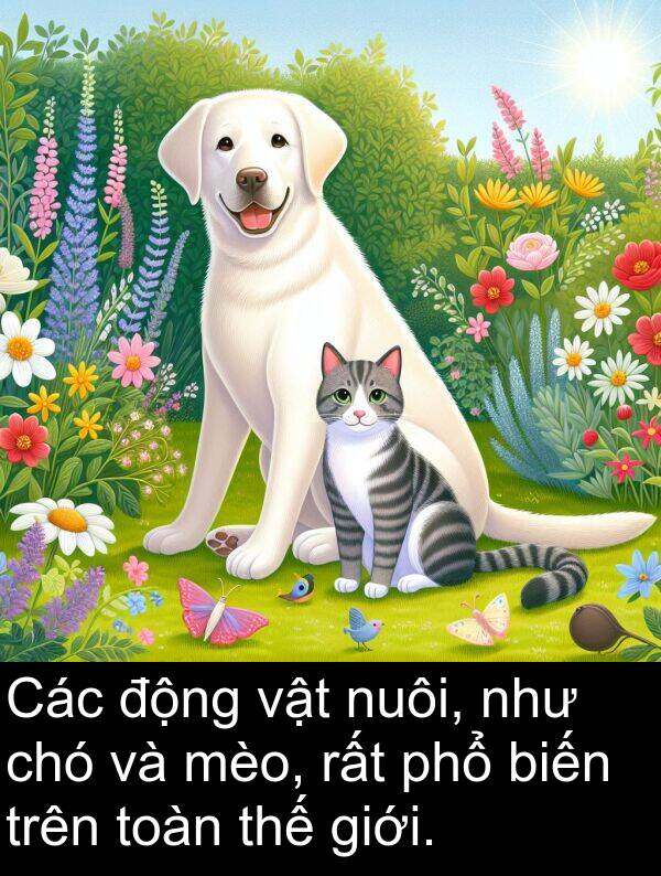 phổ: Các động vật nuôi, như chó và mèo, rất phổ biến trên toàn thế giới.