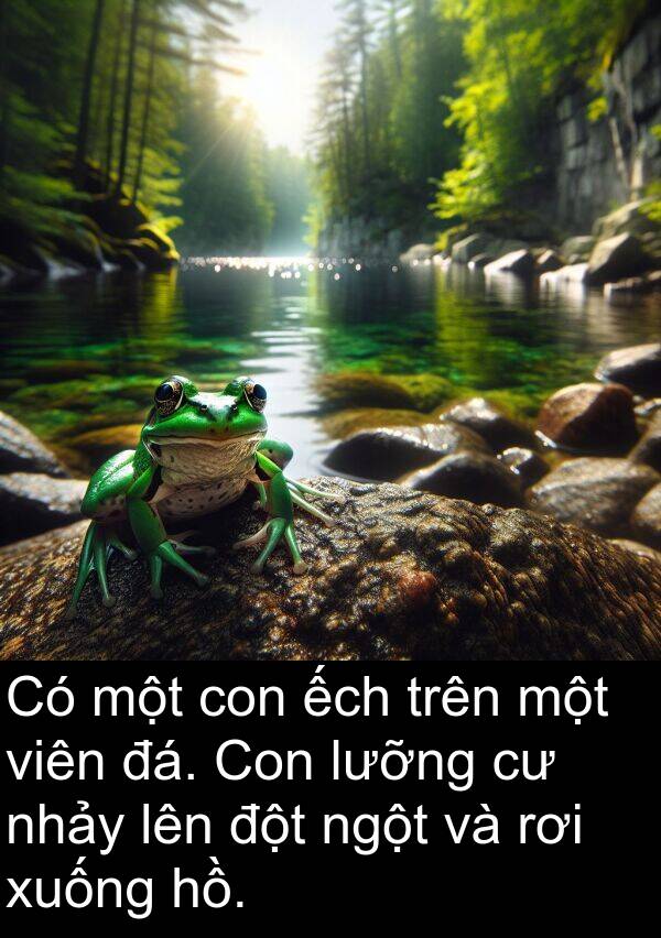 đột: Có một con ếch trên một viên đá. Con lưỡng cư nhảy lên đột ngột và rơi xuống hồ.