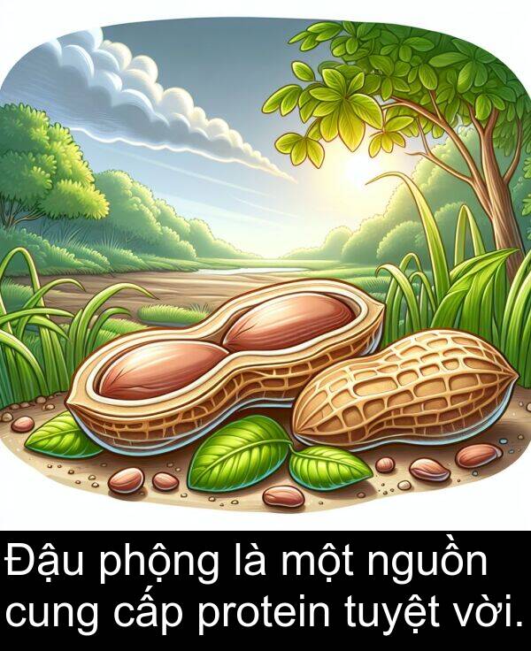 cấp: Đậu phộng là một nguồn cung cấp protein tuyệt vời.