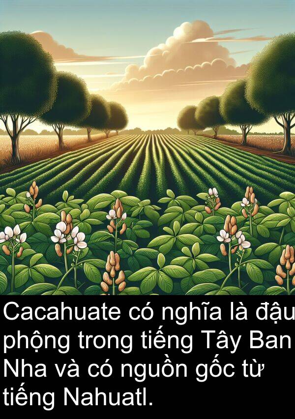 nguồn: Cacahuate có nghĩa là đậu phộng trong tiếng Tây Ban Nha và có nguồn gốc từ tiếng Nahuatl.