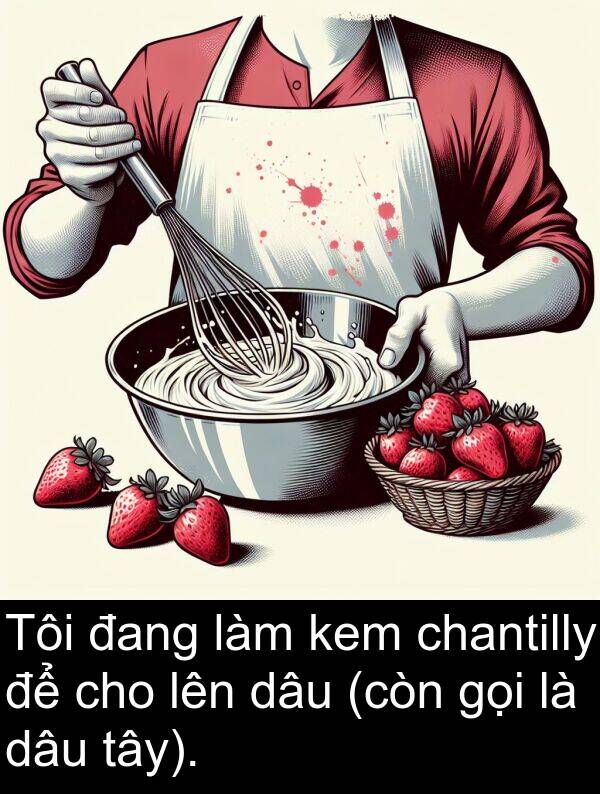 dâu: Tôi đang làm kem chantilly để cho lên dâu (còn gọi là dâu tây).
