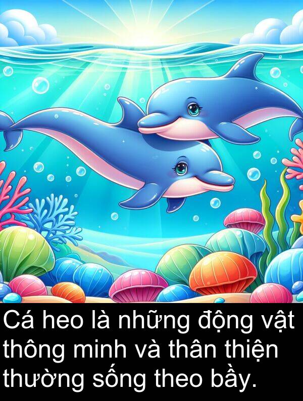 thân: Cá heo là những động vật thông minh và thân thiện thường sống theo bầy.
