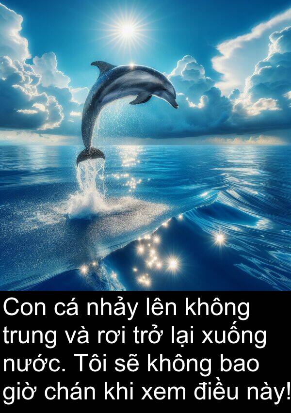 xem: Con cá nhảy lên không trung và rơi trở lại xuống nước. Tôi sẽ không bao giờ chán khi xem điều này!