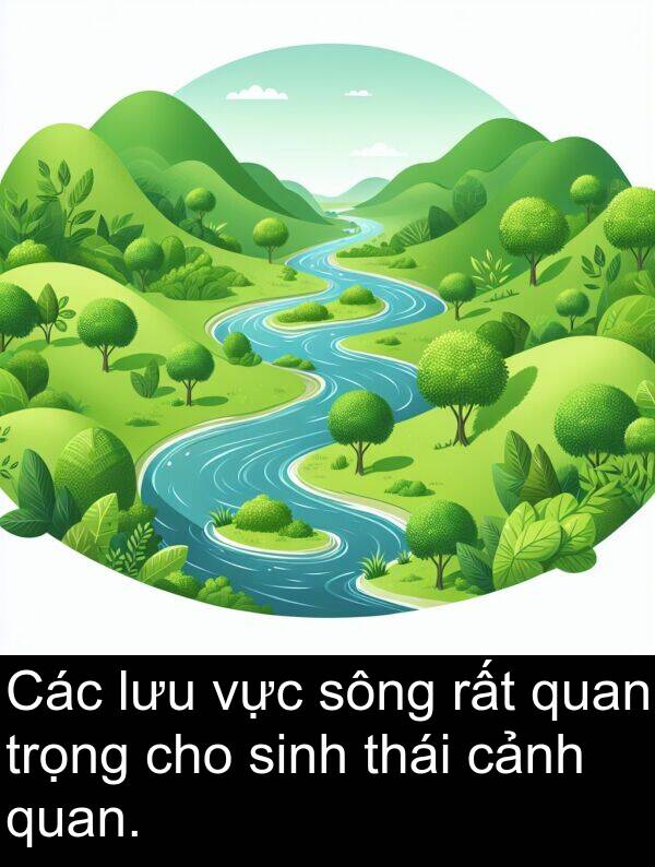 trọng: Các lưu vực sông rất quan trọng cho sinh thái cảnh quan.