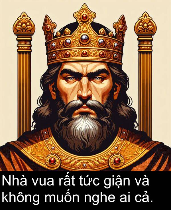 giận: Nhà vua rất tức giận và không muốn nghe ai cả.