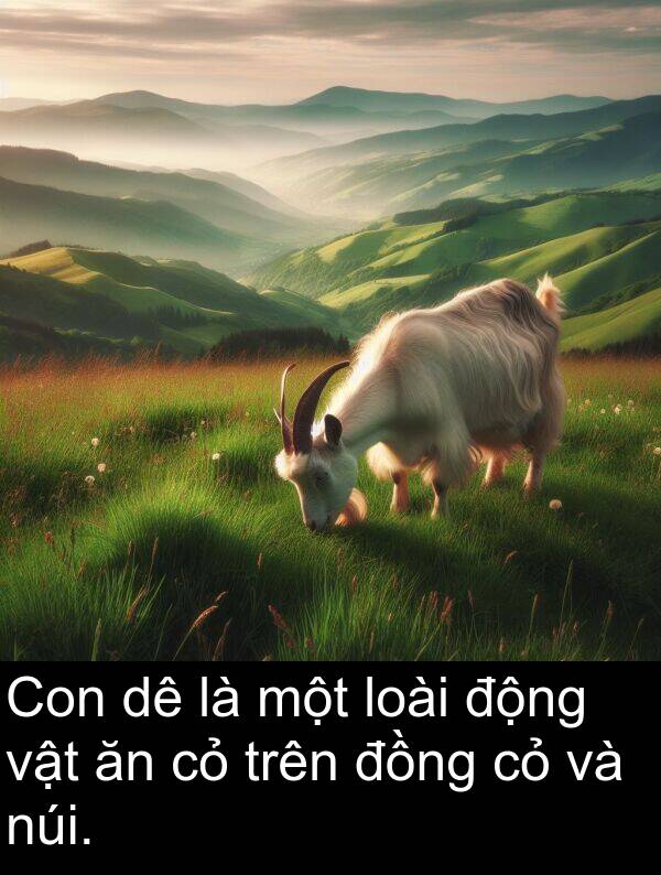 động: Con dê là một loài động vật ăn cỏ trên đồng cỏ và núi.