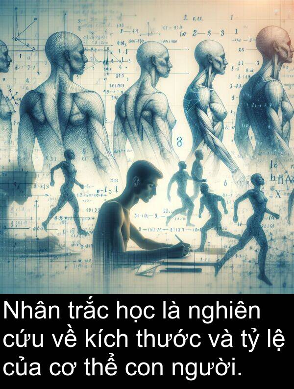 trắc: Nhân trắc học là nghiên cứu về kích thước và tỷ lệ của cơ thể con người.