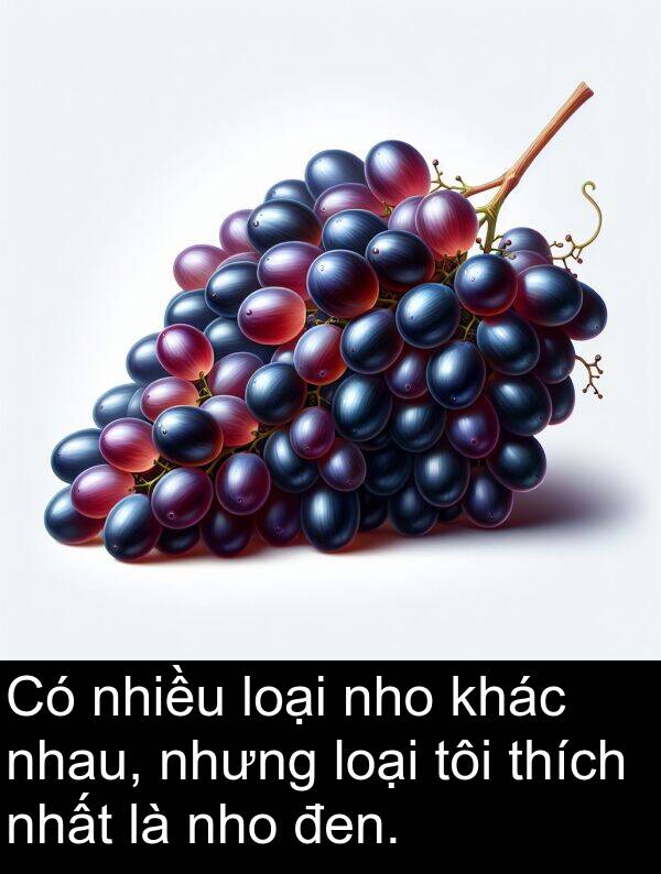 đen: Có nhiều loại nho khác nhau, nhưng loại tôi thích nhất là nho đen.