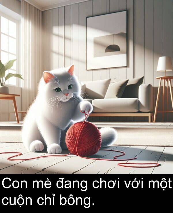 bông: Con mè đang chơi với một cuộn chỉ bông.