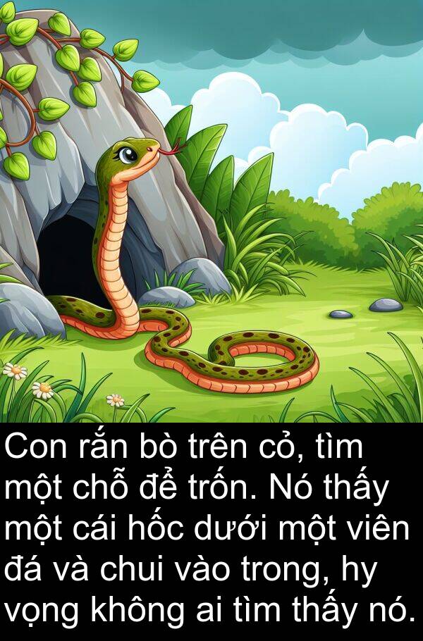 hốc: Con rắn bò trên cỏ, tìm một chỗ để trốn. Nó thấy một cái hốc dưới một viên đá và chui vào trong, hy vọng không ai tìm thấy nó.