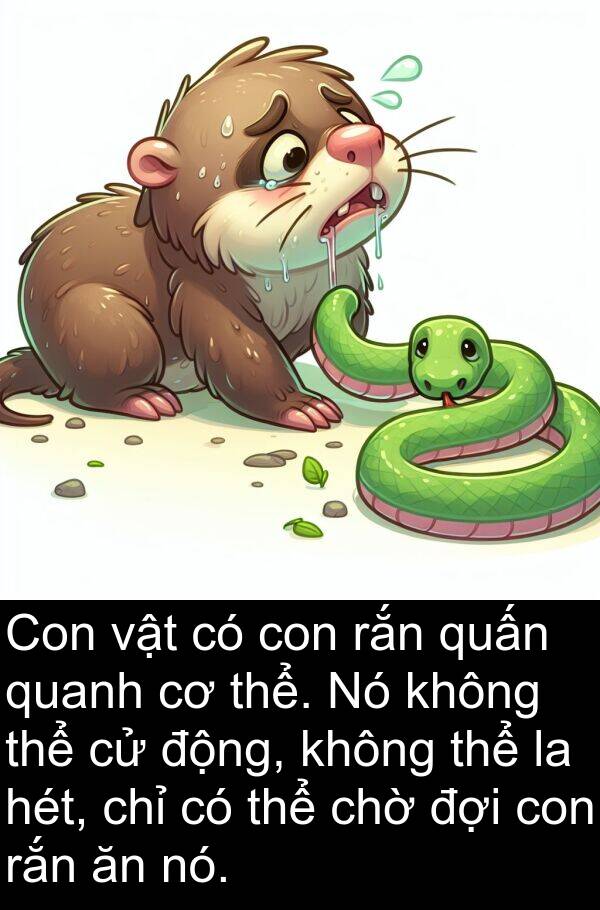 quấn: Con vật có con rắn quấn quanh cơ thể. Nó không thể cử động, không thể la hét, chỉ có thể chờ đợi con rắn ăn nó.