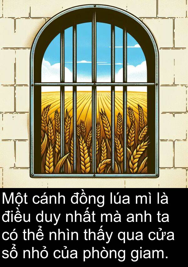 lúa: Một cánh đồng lúa mì là điều duy nhất mà anh ta có thể nhìn thấy qua cửa sổ nhỏ của phòng giam.