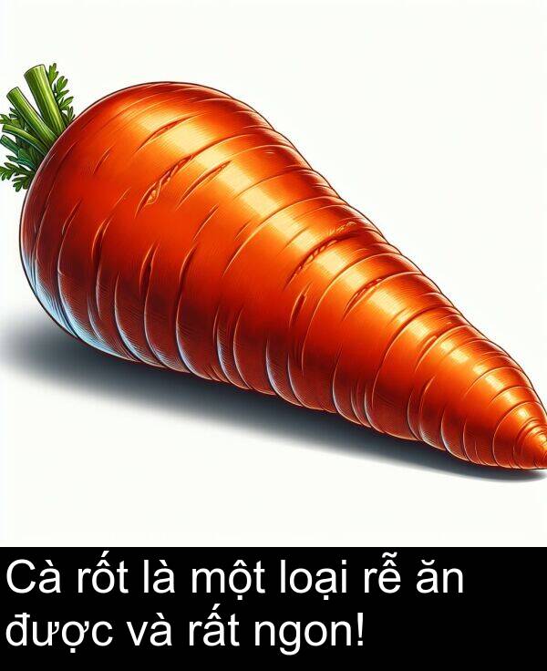 được: Cà rốt là một loại rễ ăn được và rất ngon!