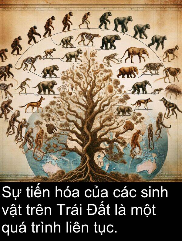 tiến: Sự tiến hóa của các sinh vật trên Trái Đất là một quá trình liên tục.