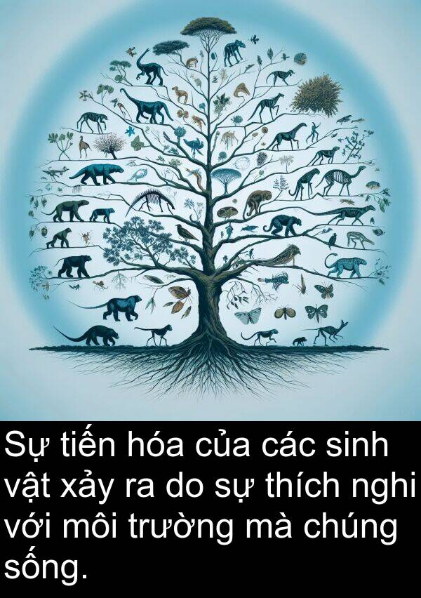 tiến: Sự tiến hóa của các sinh vật xảy ra do sự thích nghi với môi trường mà chúng sống.