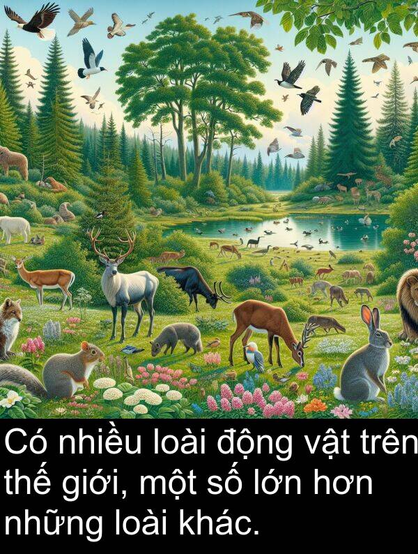 thế: Có nhiều loài động vật trên thế giới, một số lớn hơn những loài khác.
