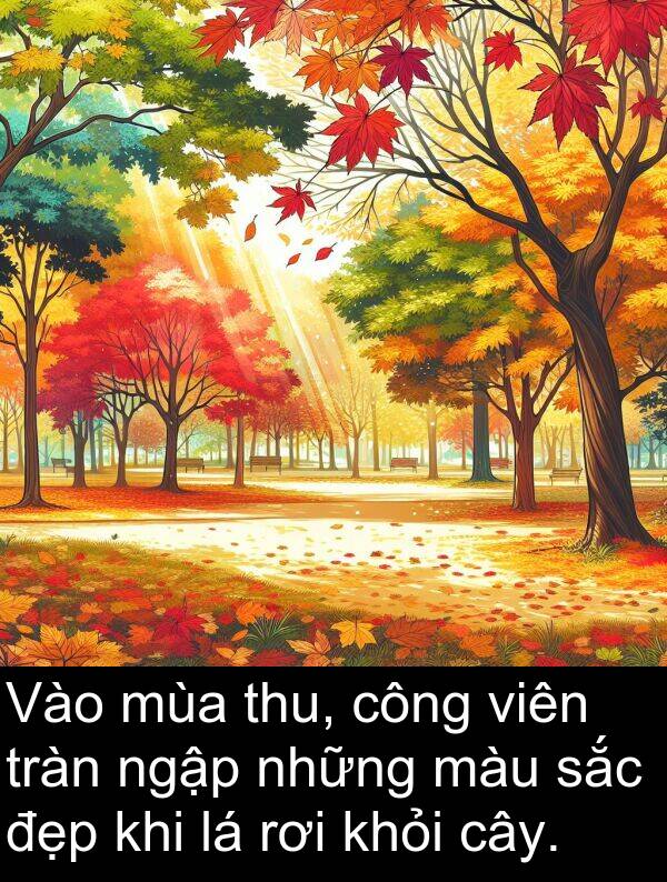 tràn: Vào mùa thu, công viên tràn ngập những màu sắc đẹp khi lá rơi khỏi cây.