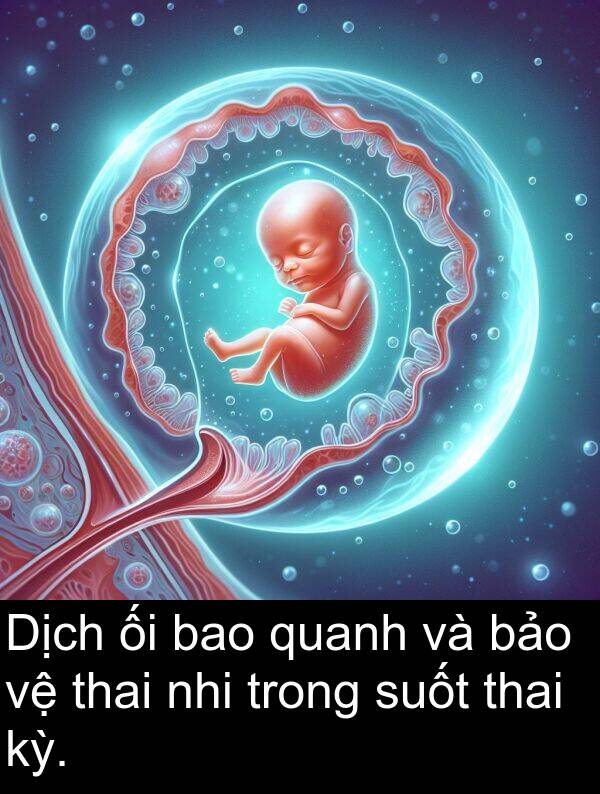 nhi: Dịch ối bao quanh và bảo vệ thai nhi trong suốt thai kỳ.