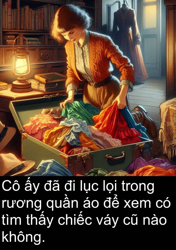 lục: Cô ấy đã đi lục lọi trong rương quần áo để xem có tìm thấy chiếc váy cũ nào không.