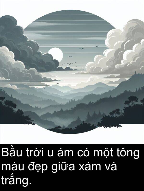 đẹp: Bầu trời u ám có một tông màu đẹp giữa xám và trắng.