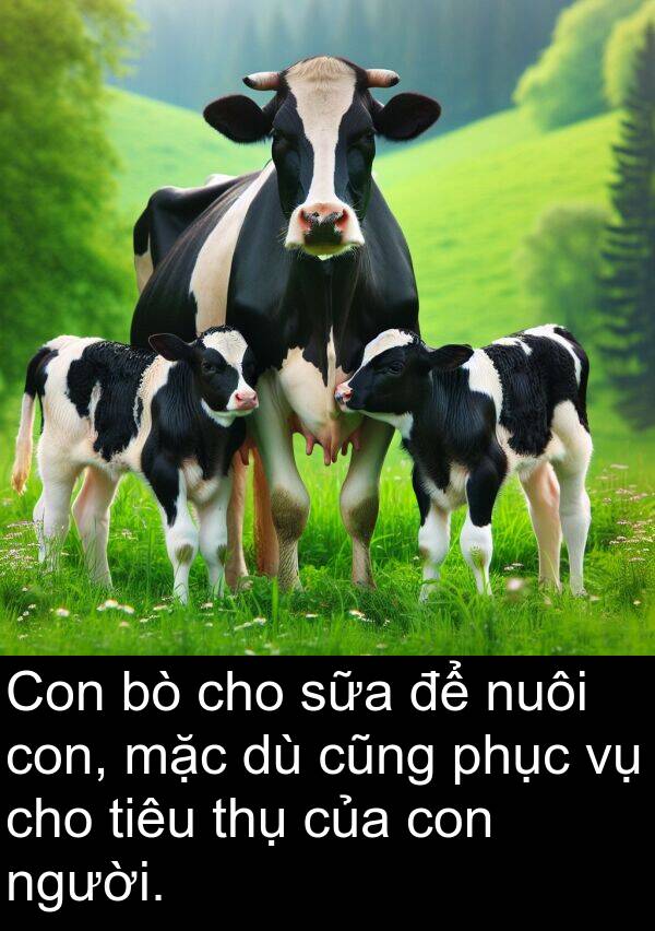 phục: Con bò cho sữa để nuôi con, mặc dù cũng phục vụ cho tiêu thụ của con người.