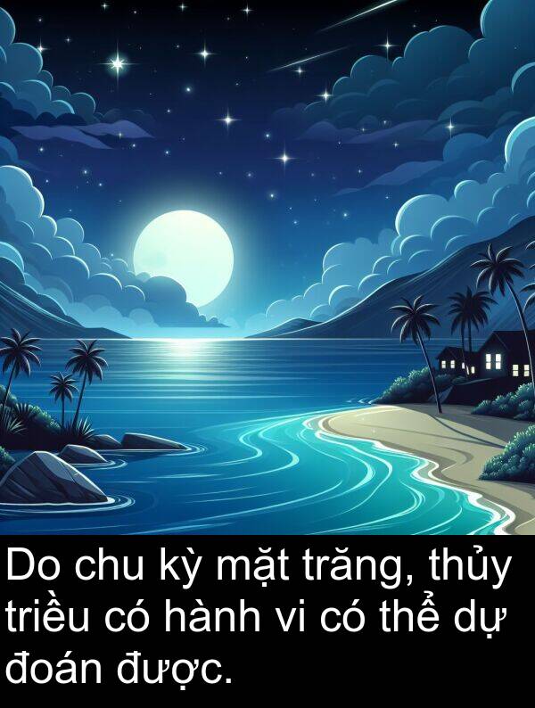 đoán: Do chu kỳ mặt trăng, thủy triều có hành vi có thể dự đoán được.