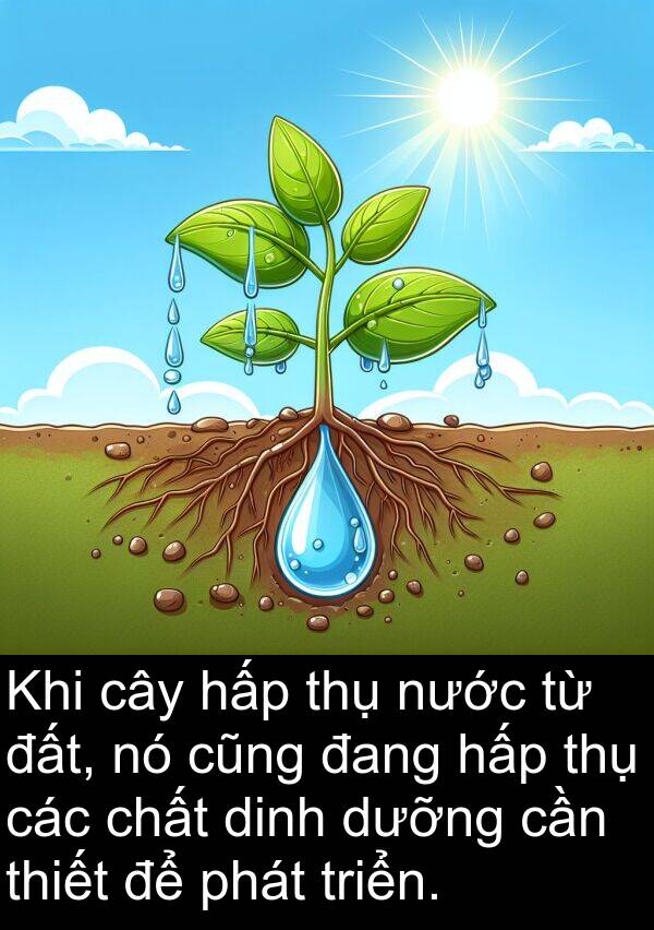 thụ: Khi cây hấp thụ nước từ đất, nó cũng đang hấp thụ các chất dinh dưỡng cần thiết để phát triển.