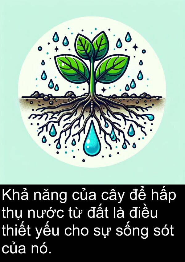 thụ: Khả năng của cây để hấp thụ nước từ đất là điều thiết yếu cho sự sống sót của nó.