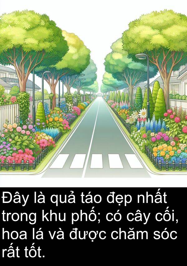 táo: Đây là quả táo đẹp nhất trong khu phố; có cây cối, hoa lá và được chăm sóc rất tốt.