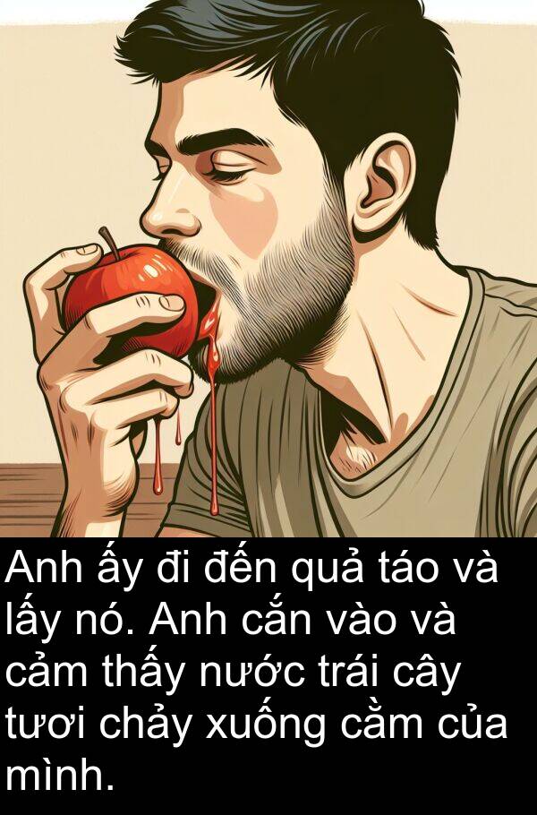 táo: Anh ấy đi đến quả táo và lấy nó. Anh cắn vào và cảm thấy nước trái cây tươi chảy xuống cằm của mình.