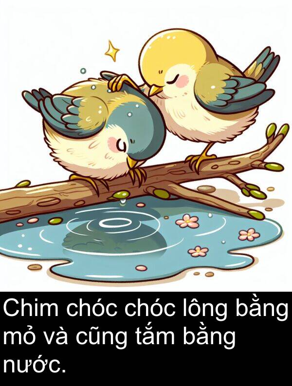 bằng: Chim chóc chóc lông bằng mỏ và cũng tắm bằng nước.