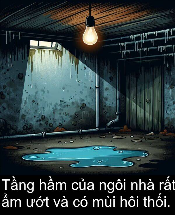 ướt: Tầng hầm của ngôi nhà rất ẩm ướt và có mùi hôi thối.