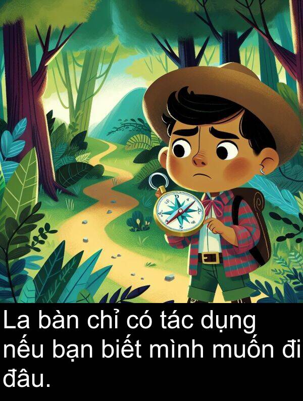 đâu: La bàn chỉ có tác dụng nếu bạn biết mình muốn đi đâu.