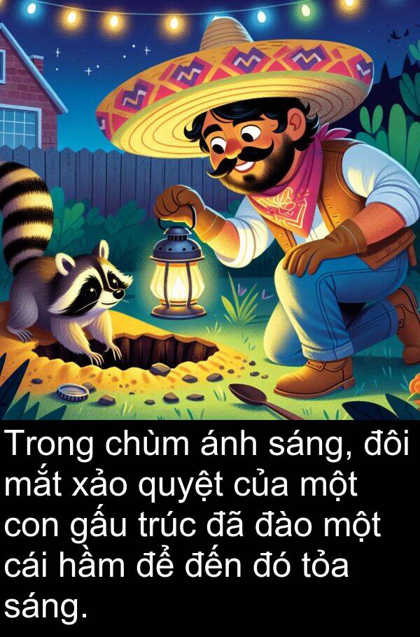 đôi: Trong chùm ánh sáng, đôi mắt xảo quyệt của một con gấu trúc đã đào một cái hầm để đến đó tỏa sáng.