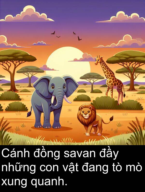 savan: Cánh đồng savan đầy những con vật đang tò mò xung quanh.