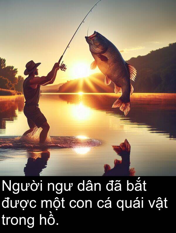 ngư: Người ngư dân đã bắt được một con cá quái vật trong hồ.