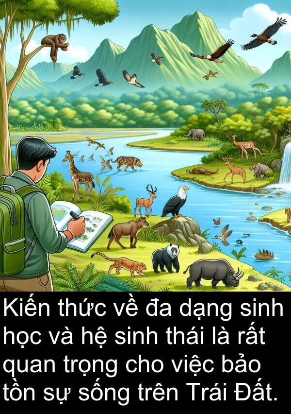 dạng: Kiến thức về đa dạng sinh học và hệ sinh thái là rất quan trọng cho việc bảo tồn sự sống trên Trái Đất.