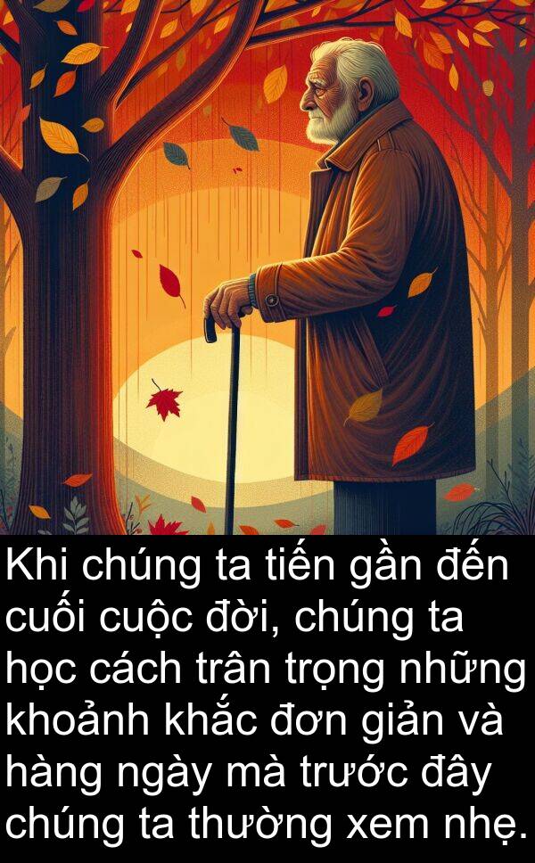 đời: Khi chúng ta tiến gần đến cuối cuộc đời, chúng ta học cách trân trọng những khoảnh khắc đơn giản và hàng ngày mà trước đây chúng ta thường xem nhẹ.