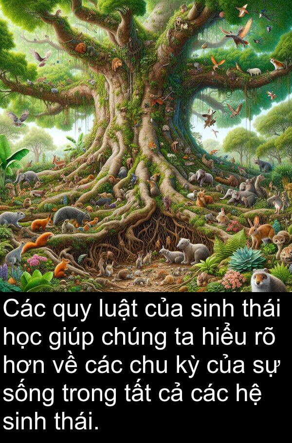 hiểu: Các quy luật của sinh thái học giúp chúng ta hiểu rõ hơn về các chu kỳ của sự sống trong tất cả các hệ sinh thái.