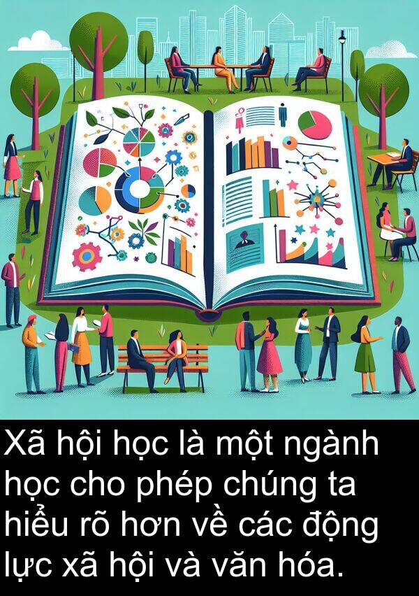 ngành: Xã hội học là một ngành học cho phép chúng ta hiểu rõ hơn về các động lực xã hội và văn hóa.