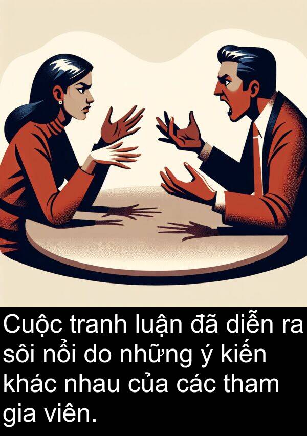 luận: Cuộc tranh luận đã diễn ra sôi nổi do những ý kiến khác nhau của các tham gia viên.