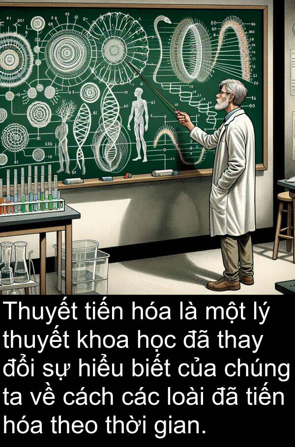 hiểu: Thuyết tiến hóa là một lý thuyết khoa học đã thay đổi sự hiểu biết của chúng ta về cách các loài đã tiến hóa theo thời gian.