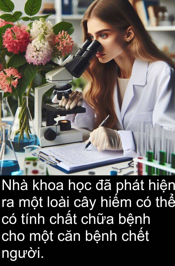 căn: Nhà khoa học đã phát hiện ra một loài cây hiếm có thể có tính chất chữa bệnh cho một căn bệnh chết người.