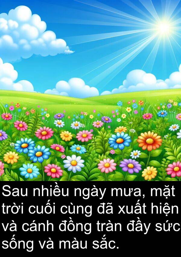 tràn: Sau nhiều ngày mưa, mặt trời cuối cùng đã xuất hiện và cánh đồng tràn đầy sức sống và màu sắc.