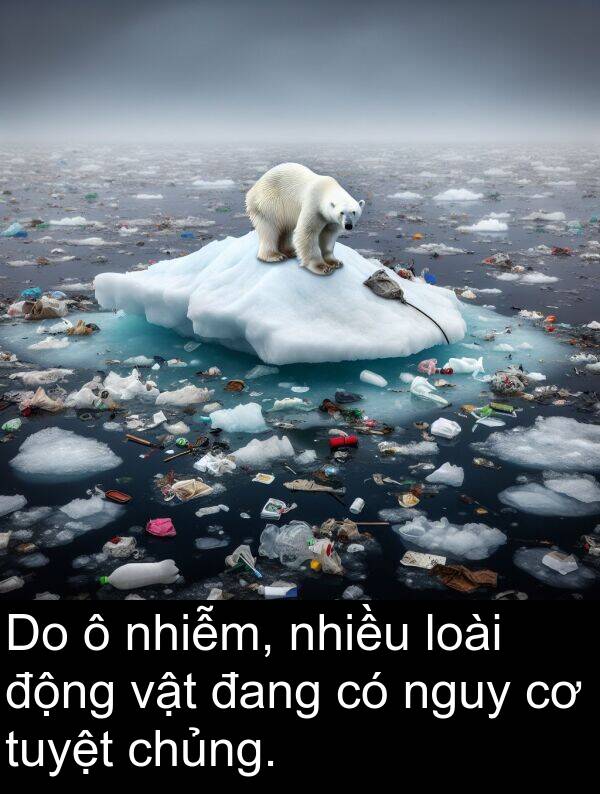 vật: Do ô nhiễm, nhiều loài động vật đang có nguy cơ tuyệt chủng.