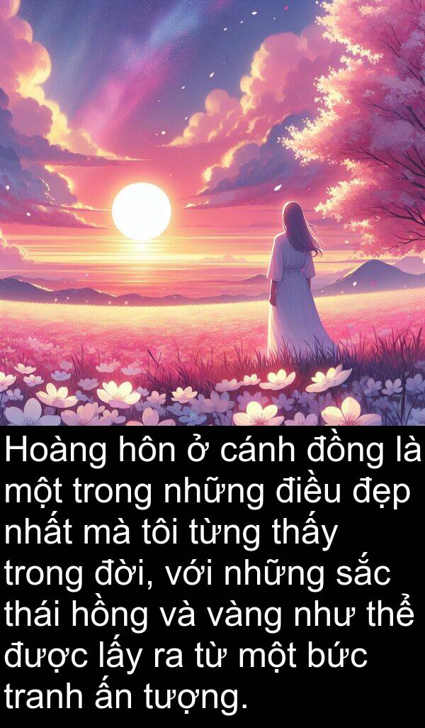 đời: Hoàng hôn ở cánh đồng là một trong những điều đẹp nhất mà tôi từng thấy trong đời, với những sắc thái hồng và vàng như thể được lấy ra từ một bức tranh ấn tượng.